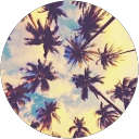 Jagoda Ćwierzona profile picture